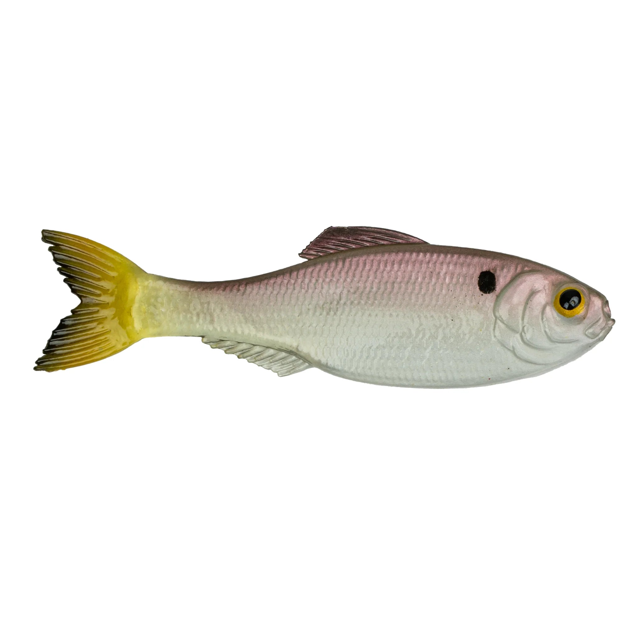 Ghost Pro Shad