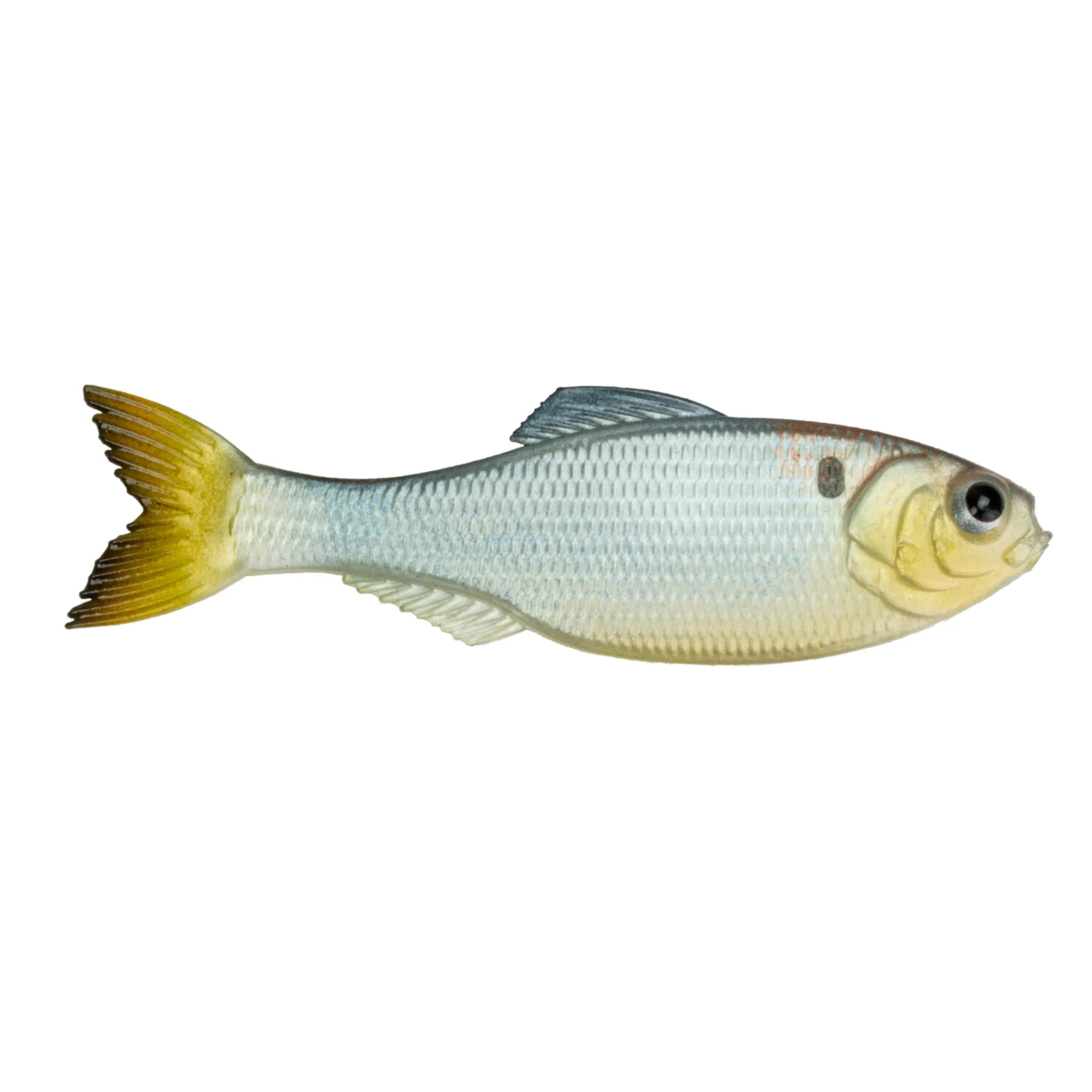 Shad Clone