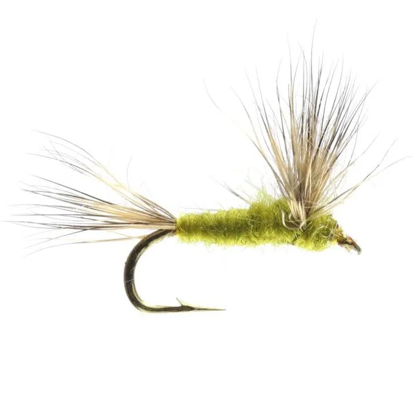 Fishing line durable grip-Comparadun Olive Sulphur